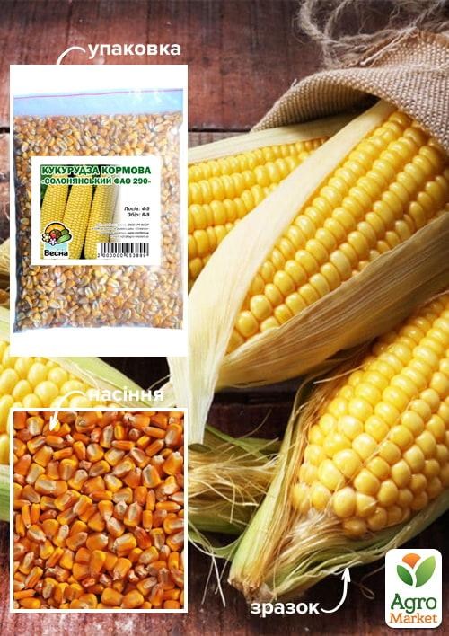 Кукурудза кормова "Солонянський ФАО 290" ТМ "Весна" ЦІНА ЗА 1КГ