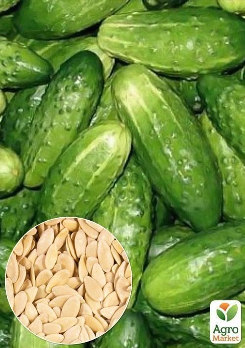 На вагу Огірок "Бригадний" ТМ "Весна" ціна за 2г