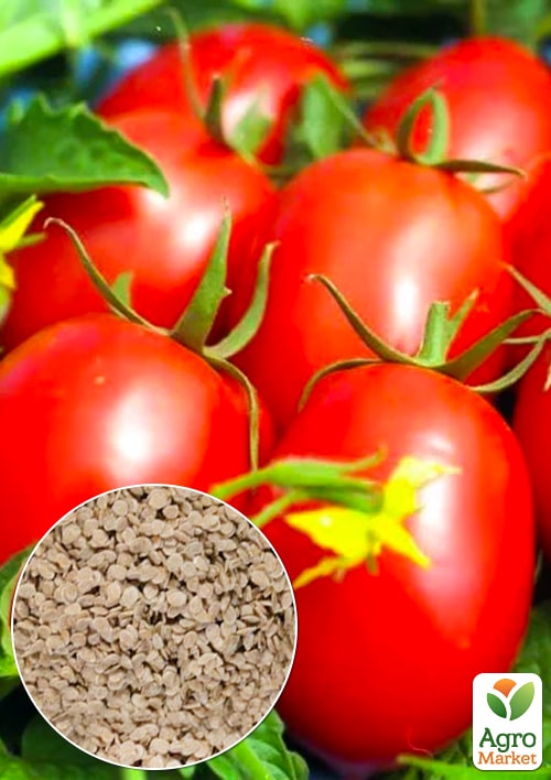 На развес Томат "Одесская сливка" ТМ "Весна" цена за 1г