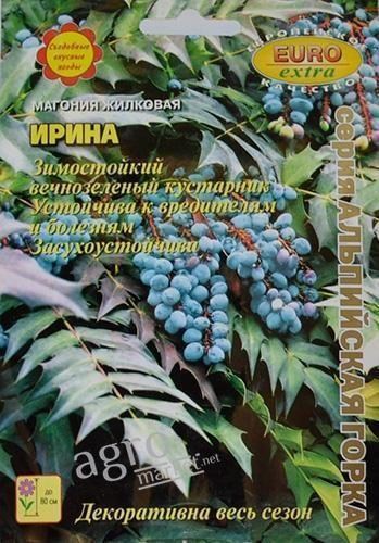 Магония жилковая "Ирина" ТМ "Аэлита"