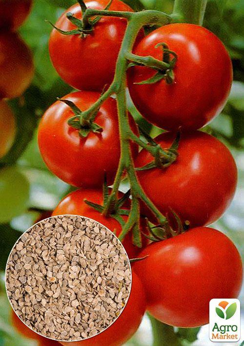 На вагу Томат "Гібрид Тарасенко" ТМ "Весна" ціна за 1г
