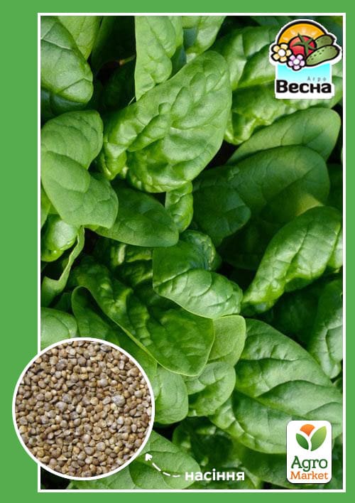 Шпинат "Гігантський" ТМ "Весна" 2г