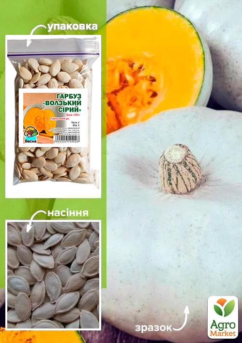 Тыква "Волжская серая" ТМ "Весна" 100г