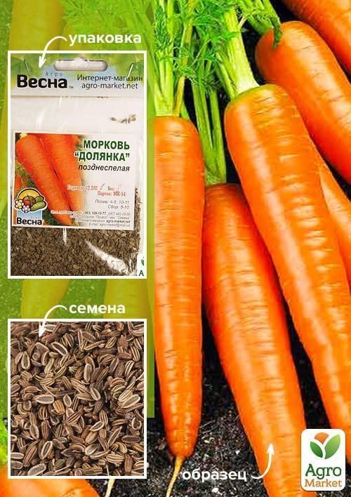 Морква "Долянка" (Зипер) ТМ "Весна" 5г