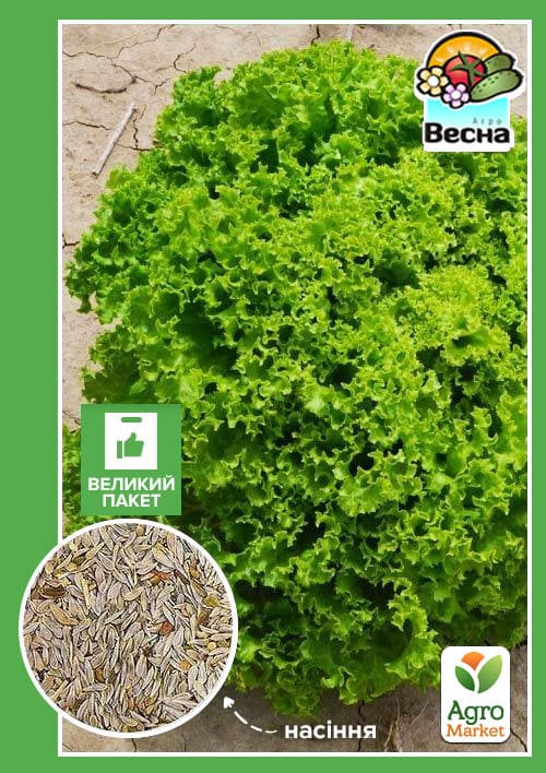 Салат "Лолло Бионда" (Большой пакет) ТМ "Весна" 3г