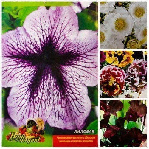 Комплект семян цветов "Вечерний аромат" 5уп 