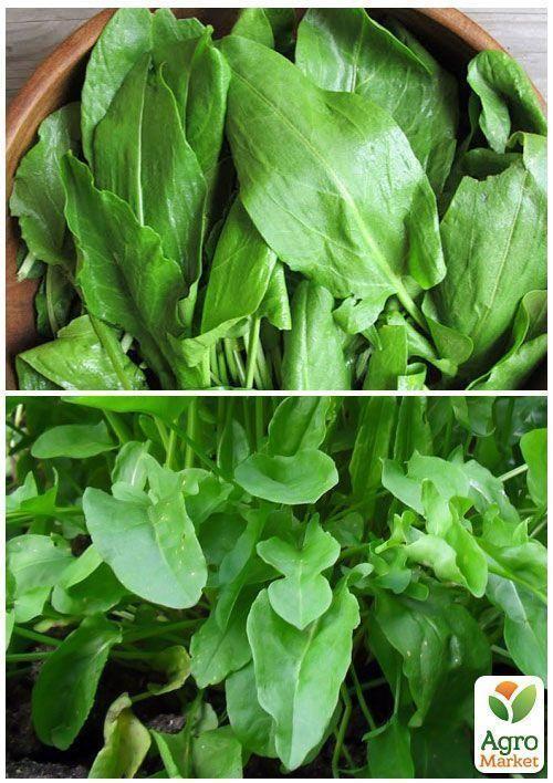 На развес Щавель "Толстолистный" ТМ "Весна" цена за 6г - фото 4