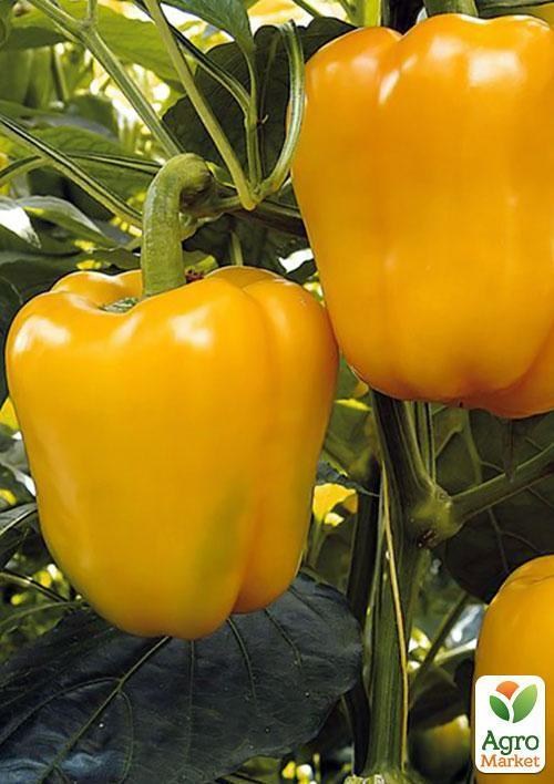 Перець "Бугай" ТМ "Vesna Select" 20шт - фото 4