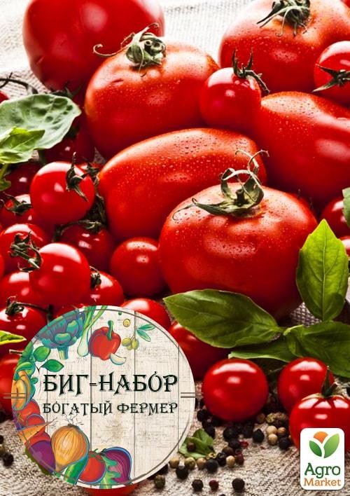 Биг-набор овощей "Томатный марафон" "Богатый фермер" (в коробке) ТМ "Весна" 60уп