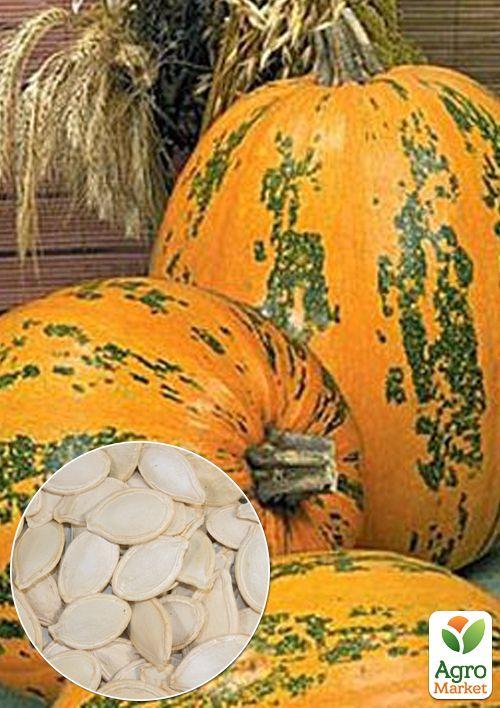 На развес Тыква "Украинка" ТМ "Весна" цена за 10г