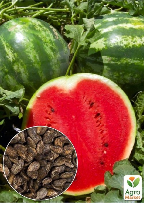 На развес Арбуз "Бочка мёда" ТМ "Весна" цена за 5г
