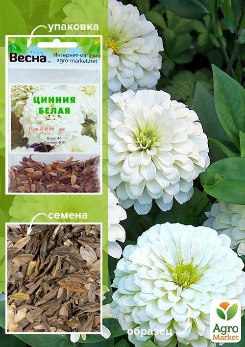 Цинія біла (Зипер) ТМ "Весна" 2г