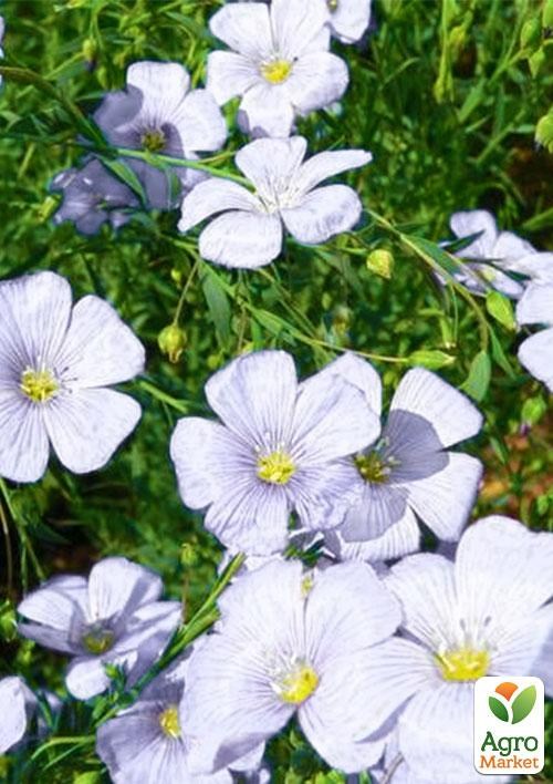 Лен белый (в банке) ТМ "Весна Органик" 10г