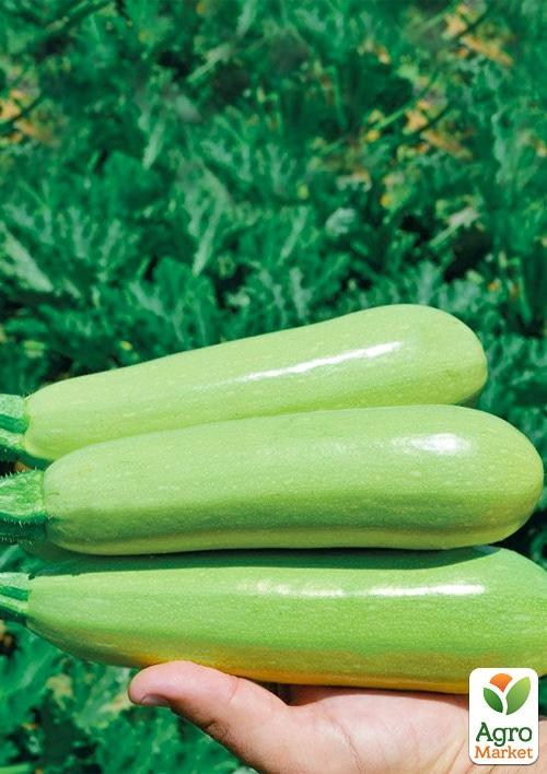 Кабачок «Теренум F1» ТМ «Lark Seeds» 500шт