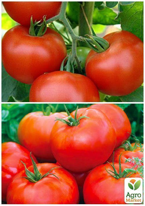 На вагу Томат "Загадка" ТМ "Весна" ціна за 1г - фото 4