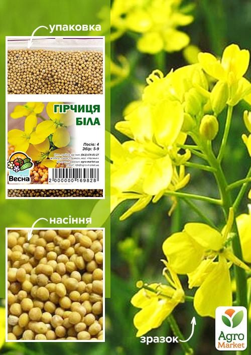 Гірчиця біла ТМ "Весна" 100гр