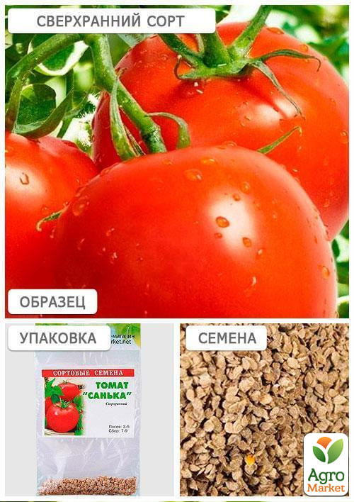 Томат "Санька" (Зипер) ТМ "Весна" 0,5г - фото 4