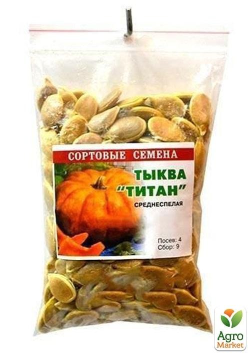 Тыква "Титан" ТМ "Весна" 100г - фото 2