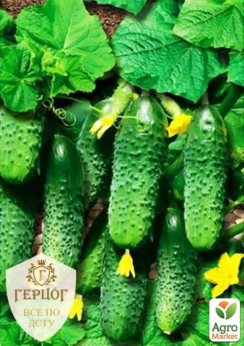 Огурец "Герцог" "Корнишон" ТМ "Весна" 2г