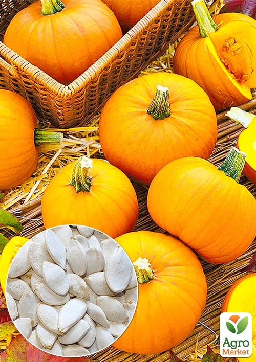 Тыква "Конфетка" (Большой пакет) ТМ "Весна" 4г