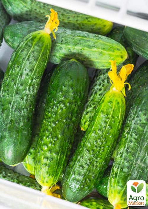Огірок "Лютий" ТМ "Vesna Select'1,5г