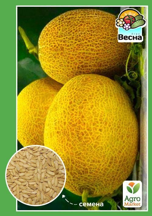 Дыня "Ольвия" ТМ "Весна" 1.5г
