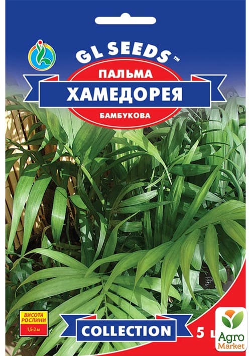 Пальма "Хамедорея" ТМ "GL Seeds" 5шт