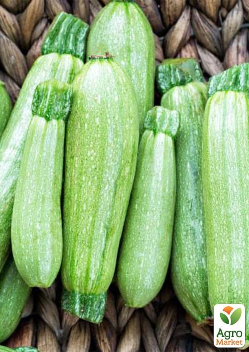 Кабачок "Кустовой ранний" (в банке) ТМ "Весна Органик" 20г