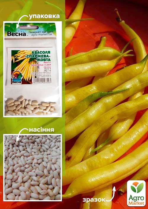 Квасоля спаржева "Жовта" (Зипер) ТМ "Весна" 5г