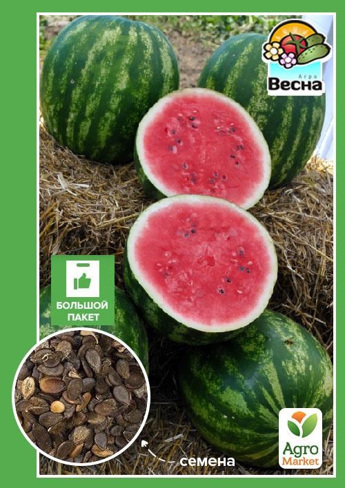 Арбуз "Талисман" (Большой пакет) ТМ "Весна" 4г