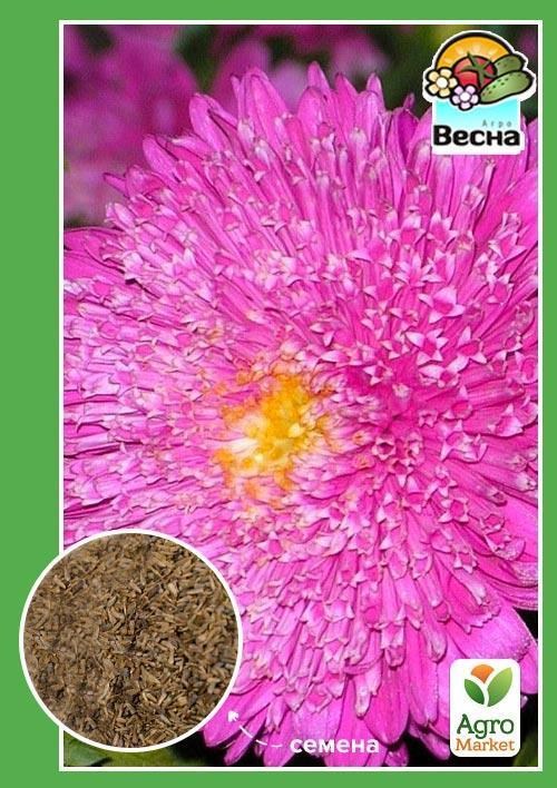 Айстра "Паміна" ТМ "Весна" 0.2г
