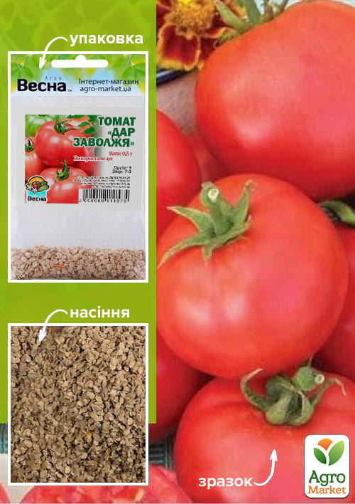 Томат "Дар Заволжья" (Зипер) ТМ "Весна" 0,5г