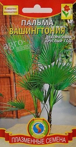 Пальма "Вашингтония" ТМ "Плазмас" 2шт