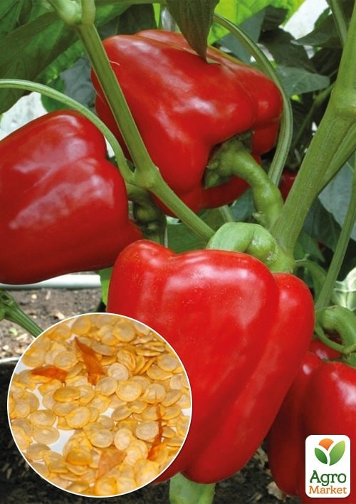 На развес Перец "Доминатор" ТМ "Весна" цена за 1г