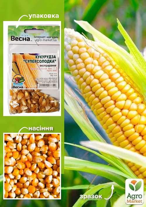 Кукуруза "Суперсладкая" (Зипер) ТМ "Весна" 15г