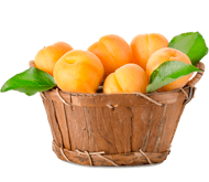 Комплекти саджанців абрикоса
