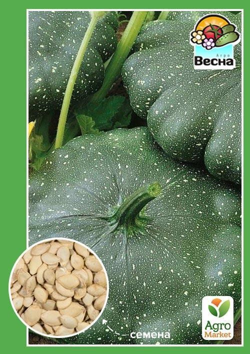 Патисон "Малахіт" ТМ "Весна" 2г
