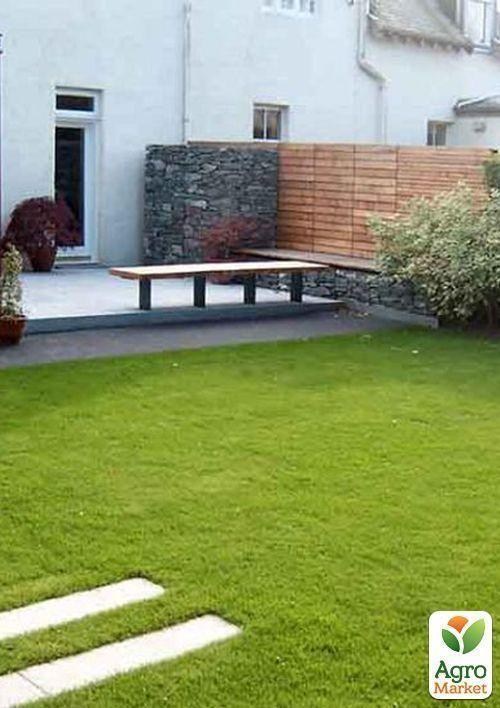 Газонная травосмесь "Быстрый ремонт" ТМ "Семейный сад" 800г - фото 2