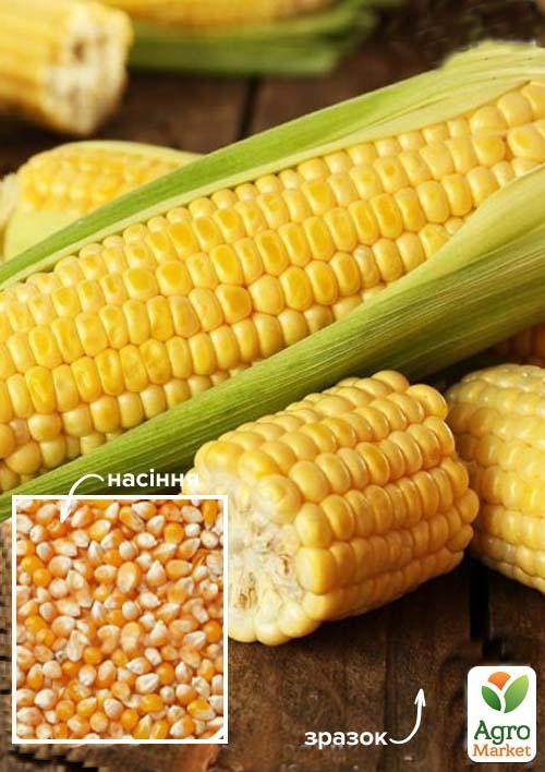 Кукурудза кормова "Хотин" ТМ "Весна" 100г