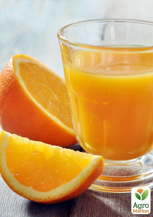 Апельсин "Навеліна" - фото 5