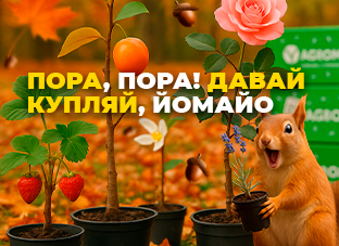 Пора, пора! Давай купляй, йомайо!