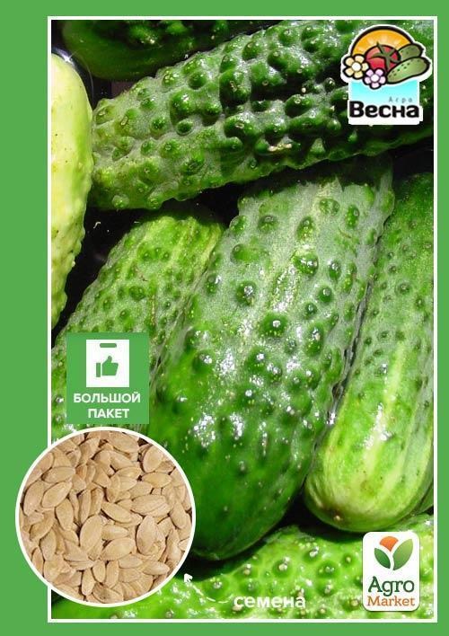Огірок "Полан F1" (Великий пакет) ТМ "Весна" 1.5г