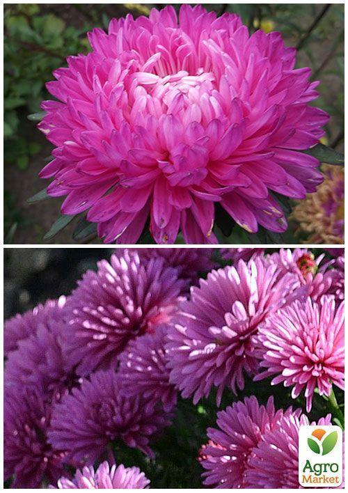 На вагу Айстра "Офелія" ТМ "Весна" ціна за 1,5г - фото 4