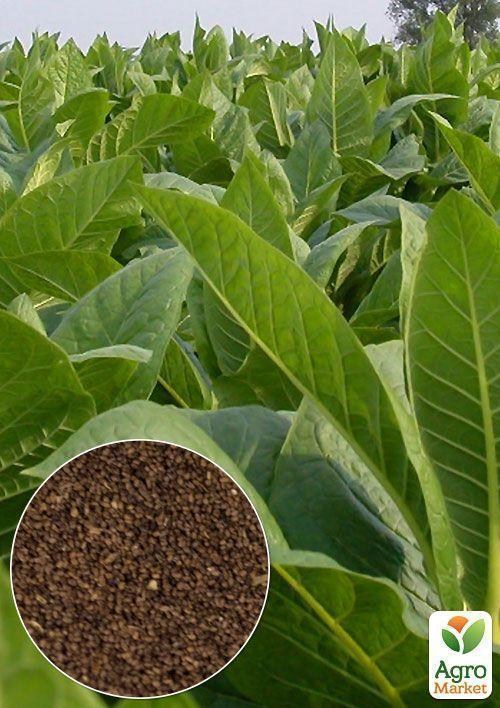 На вагу насіння Тютюн "Курильний" ТМ "Весна" ціна за 1г