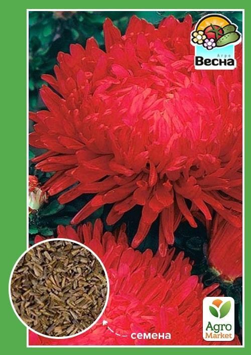 Астра "Сердце Франции" ТМ "Весна" 0.2г