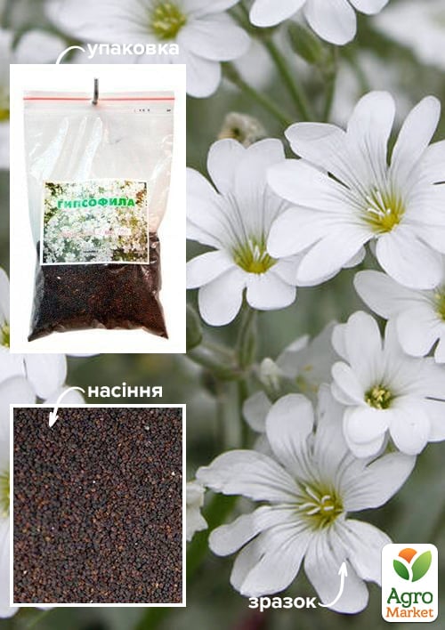 Гипсофила белая ТМ "Весна" 100г