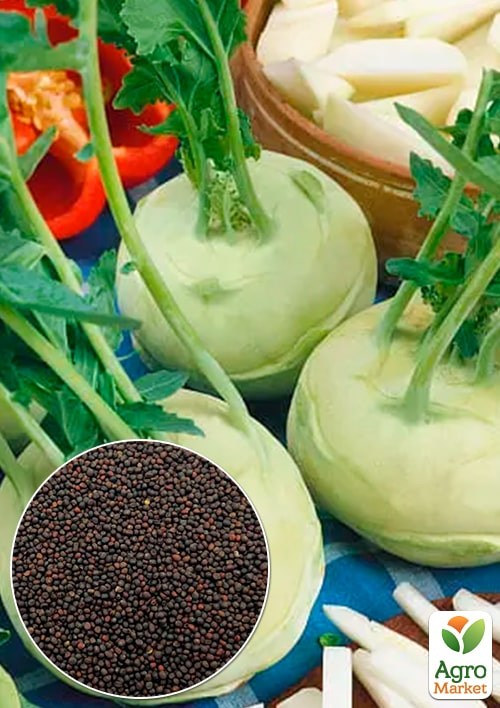 Капуста "Кольрабі біла" (Зипер) ТМ "Весна" 1г