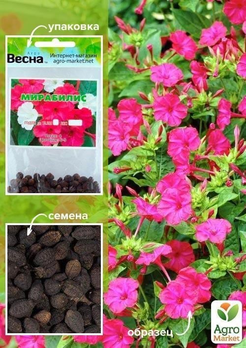 Мірабіліс (Зипер) ТМ "Весна" 1.5г