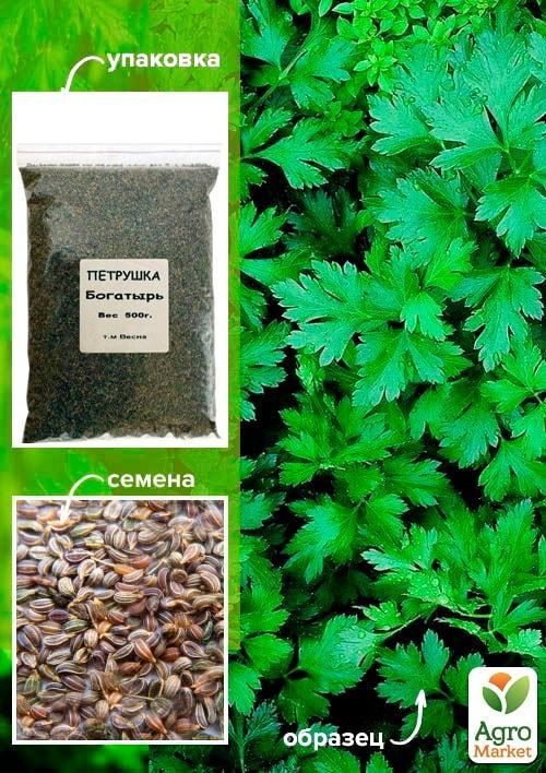 Петрушка "Богатир" ТМ "Весна" 500г