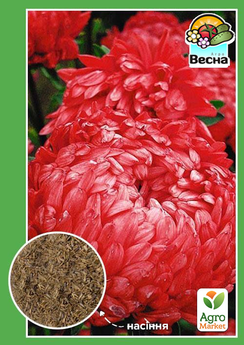 Айстра "Королівський розмір червона" ТМ "Весна" 0.2г